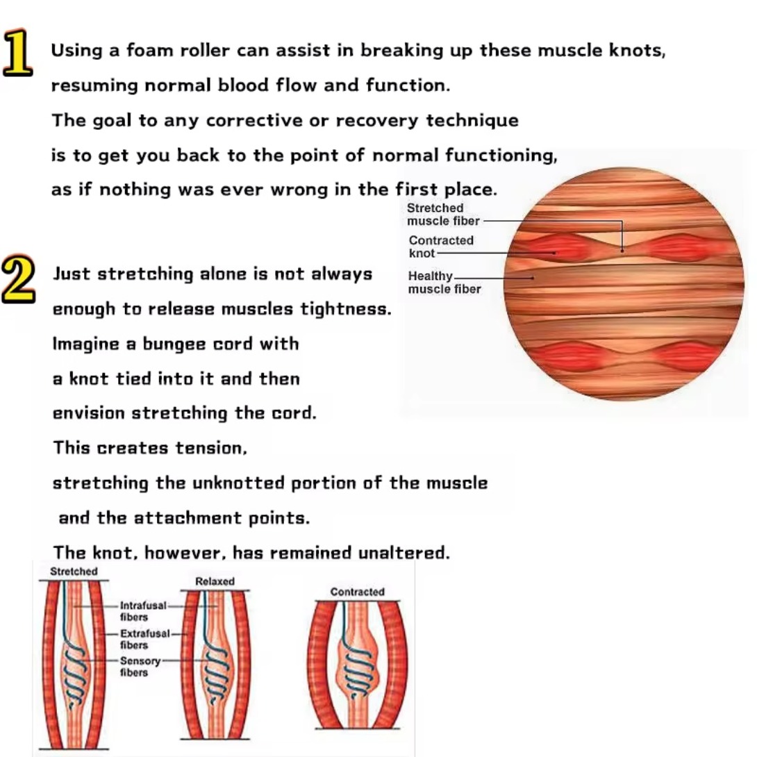 Travel Pilates Myfoscial Release Massage Wave Foam Roller