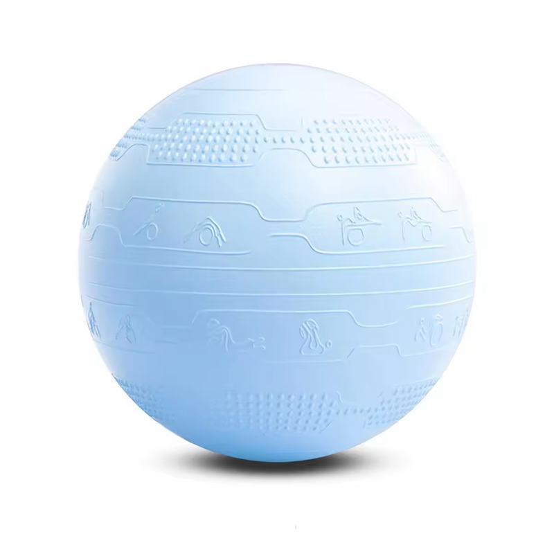 Blue Pvc Yoga Ball 55cm Yoga Ball customized Logo Yoga Mat